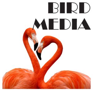 Bird Media logo white min