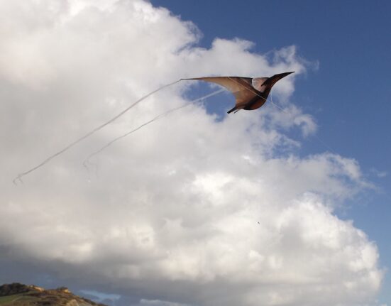 Jurassic Kites Pterodactyl at Charmouth