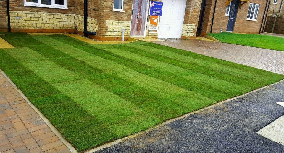 Lawn3