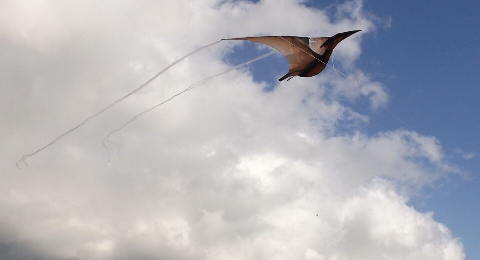 Jurassic Kites Pterodactyl at Charmouth