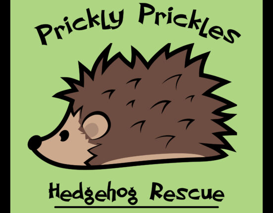 Prickly Pickles Hedgehog Rescue