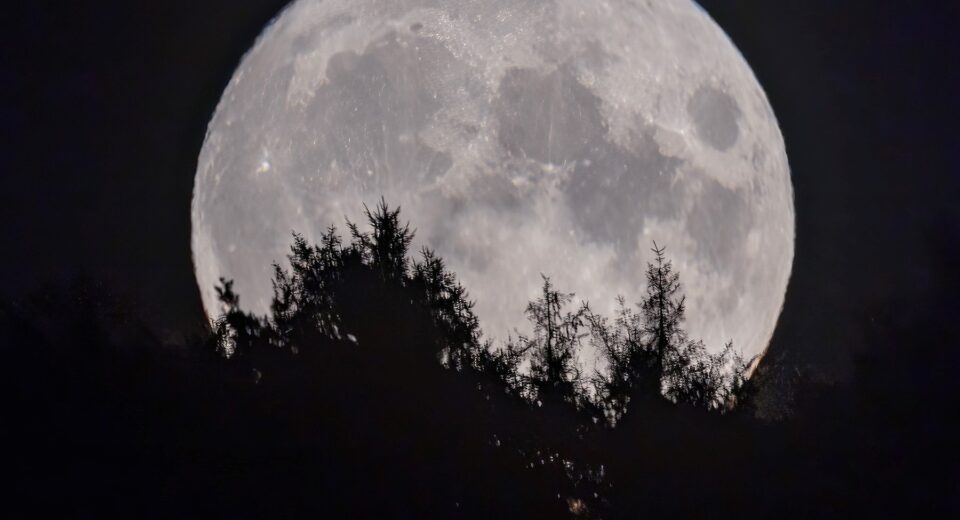 MOON