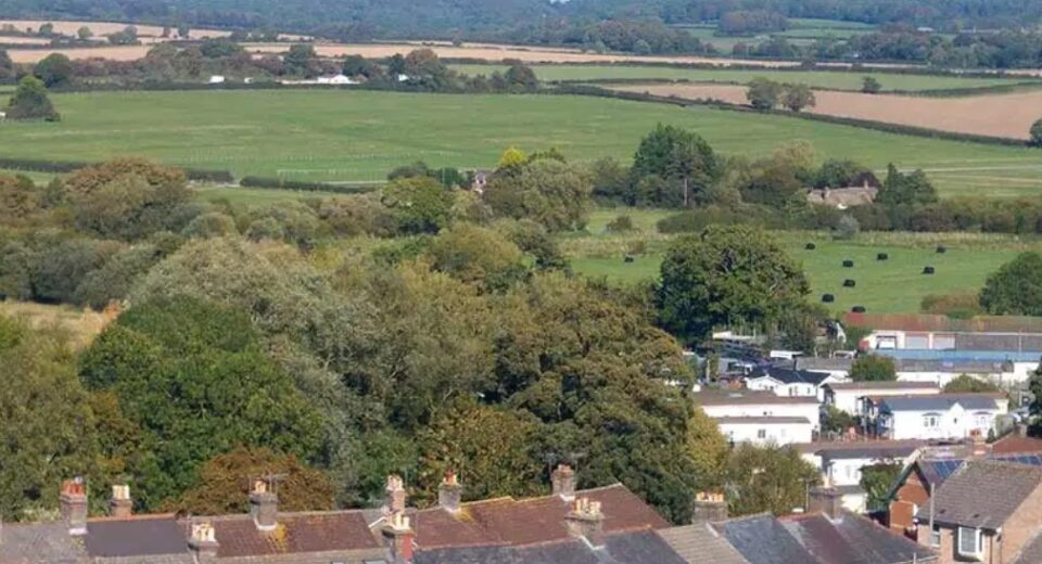 North East Dorchester View