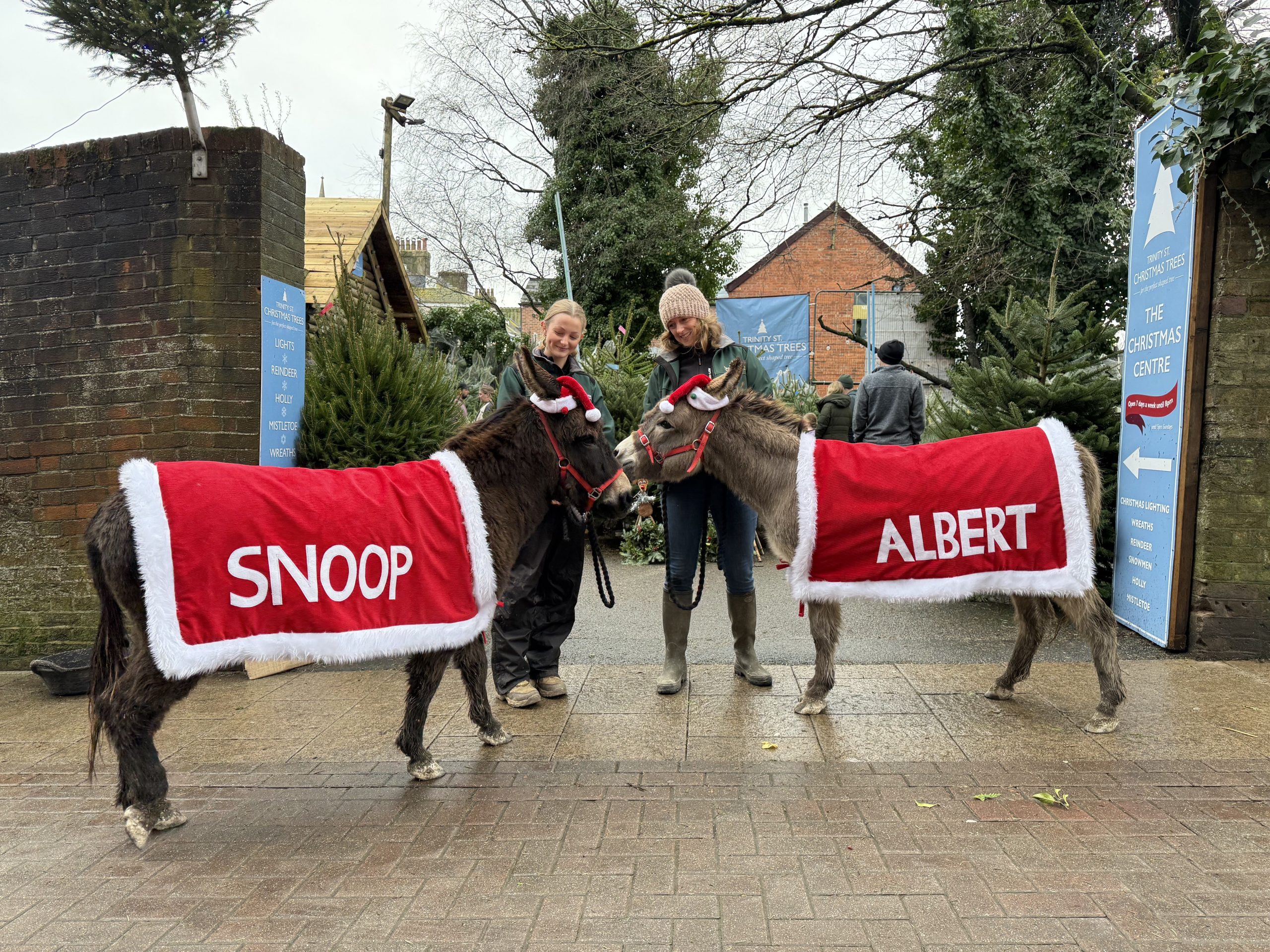 Trinity Lola and Tamzin Hyde wtith Albie and Snoop at Trinity St Dorchester scaled