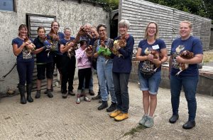 Hens Dorset Volunteers 2