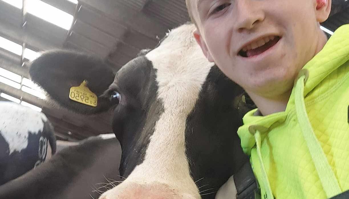 Dorset Studio School Alumni now in full time education at college and working