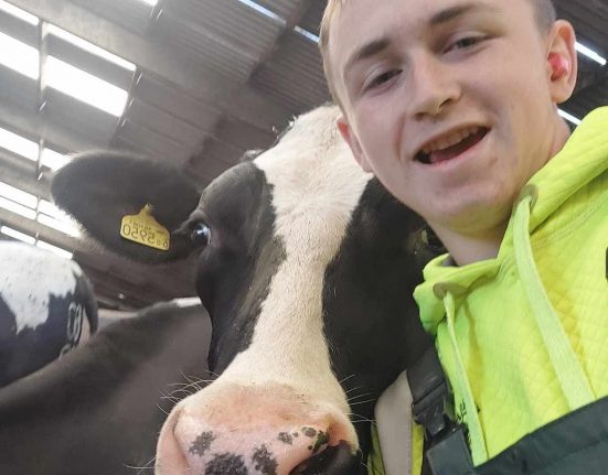 Dorset Studio School Alumni now in full time education at college and working