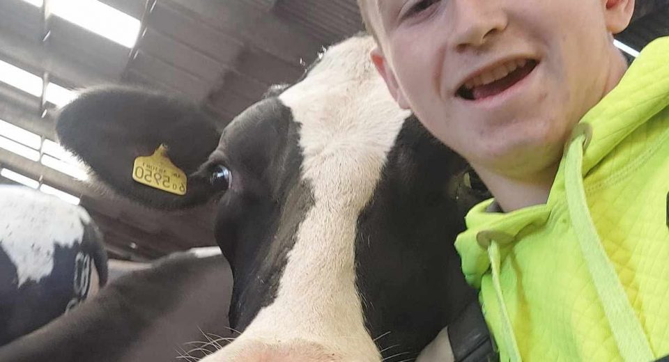 Dorset Studio School Alumni now in full time education at college and working