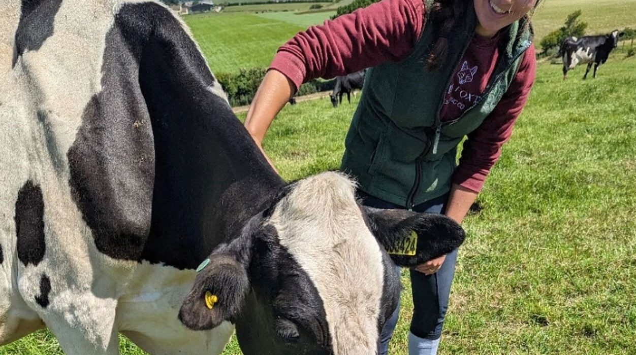 Chloe Marsh, smiling while stroking one of the black and white dairy cows that produce Dorset ice cream in a green field. She's wearing a burgundy long-sleeved top and dark farm apron, and other cattle graze behind her