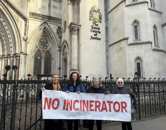 Four women stand outside The Royal Courts of Justice holding a white banner with red text reading "NO INCINERATOR." The building behind them features Gothic architecture with ornate stone archways, decorative windows, the royal coat of arms, and black decorative fencing. The women are dressed in winter clothing and appear to be at a public demonstration or protest.