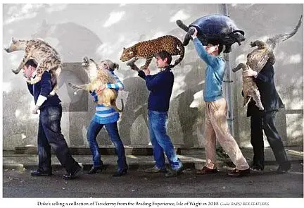 The sale of taxidermy from the Brading Collection at Duke's of Dorchester