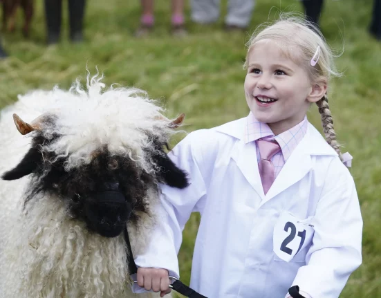 Young competitor with plaited hair leads a Valais Blacknose sheep, entry number 21, at Melplash Show.