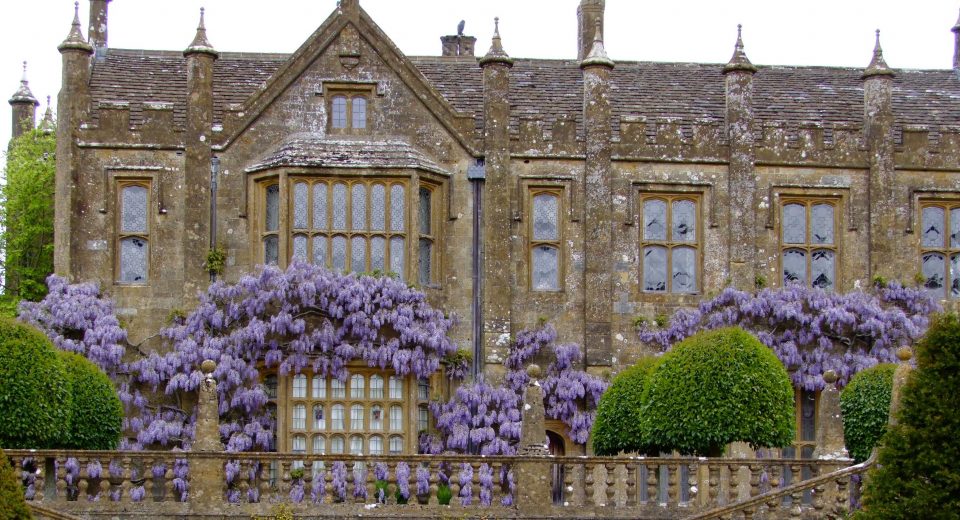 Parnham House, a Grade I-listed Elizabethan manor near Beaminster, built from honey-coloured Ham stone with a steeply pitched slate roof, tall clustered chimney stacks, and a stepped, gabled facade. Tall mullioned and leaded windows line the front, including a large bay window. The lower facade is draped in mature purple wisteria in full bloom, cascading over a stone balustraded terrace, with clipped yew topiary along the front and taller trees framing the building on either side. The sky is overcast and white.