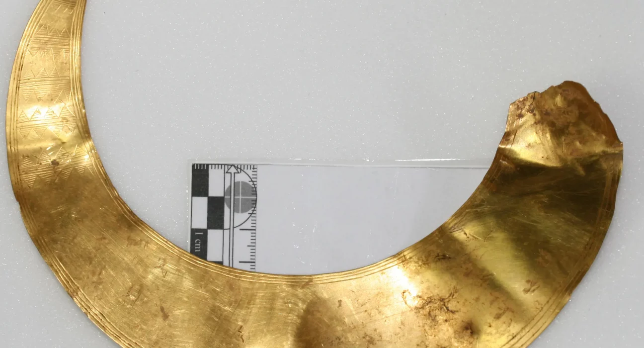 Bronze Age gold lunula found by metal detectors in Dorset's Tarrant Valley, a thin crescent-shaped neck ornament with geometric patterns, laid flat on a white background next to a centimetre scale ruler.