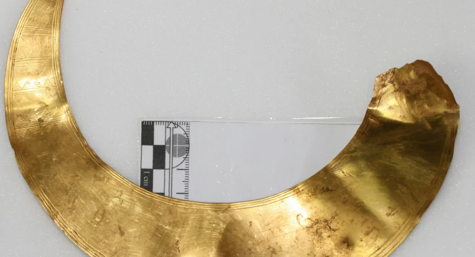 Bronze Age gold lunula found by metal detectors in Dorset's Tarrant Valley, a thin crescent-shaped neck ornament with geometric patterns, laid flat on a white background next to a centimetre scale ruler.