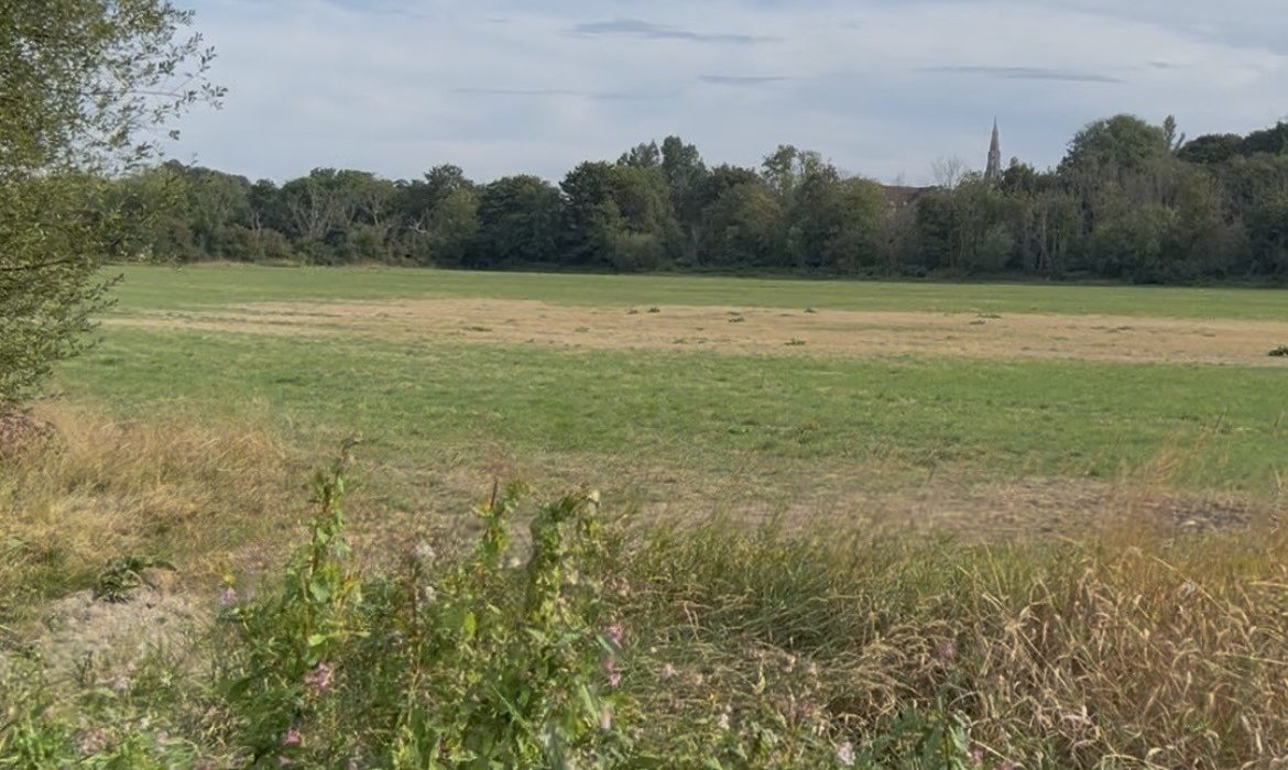 View of Stinsford water meadow looking northeast from the Blue Bridge - beyond which the North Dorchester Garden Community development is proposed to be built