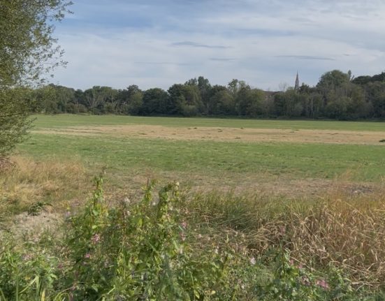 View of Stinsford water meadow looking northeast from the Blue Bridge - beyond which the North Dorchester Garden Community development is proposed to be built