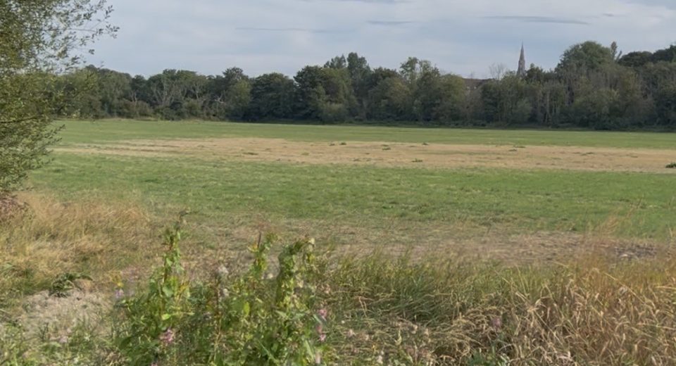 View of Stinsford water meadow looking northeast from the Blue Bridge - beyond which the North Dorchester Garden Community development is proposed to be built