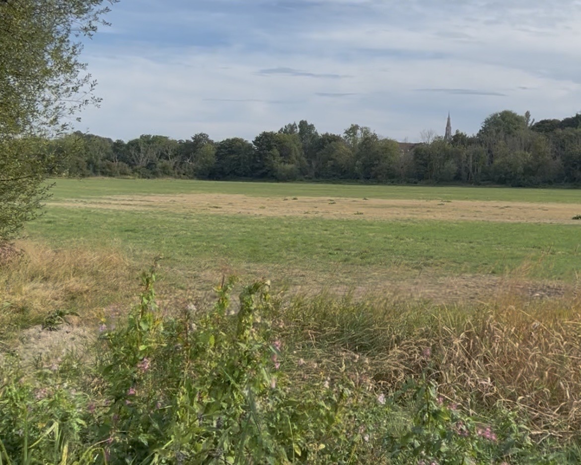 View of Stinsford water meadow looking northeast from the Blue Bridge - beyond which the North Dorchester Garden Community development is proposed to be built