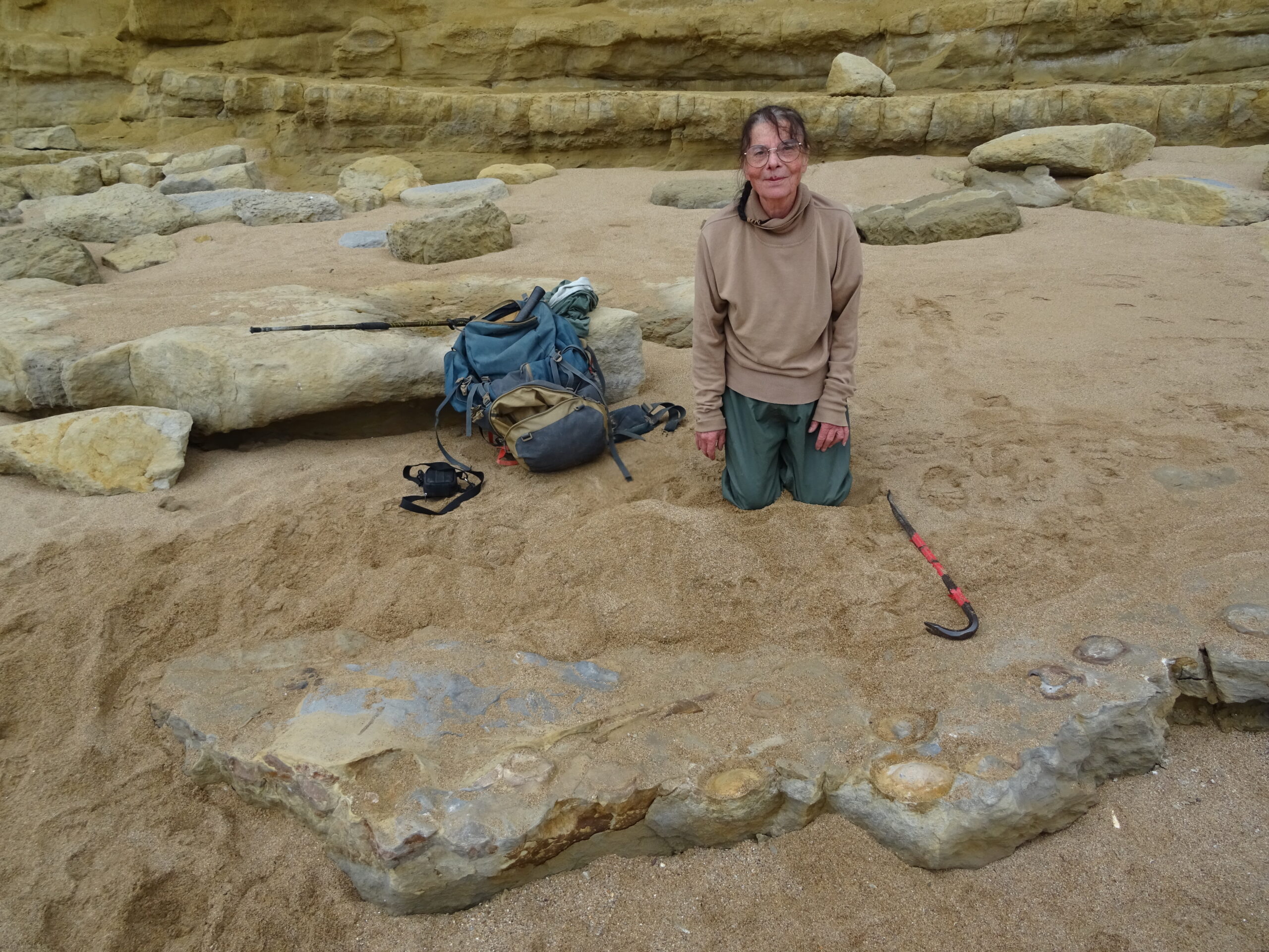 Belgian Fossil Hunters scaled
