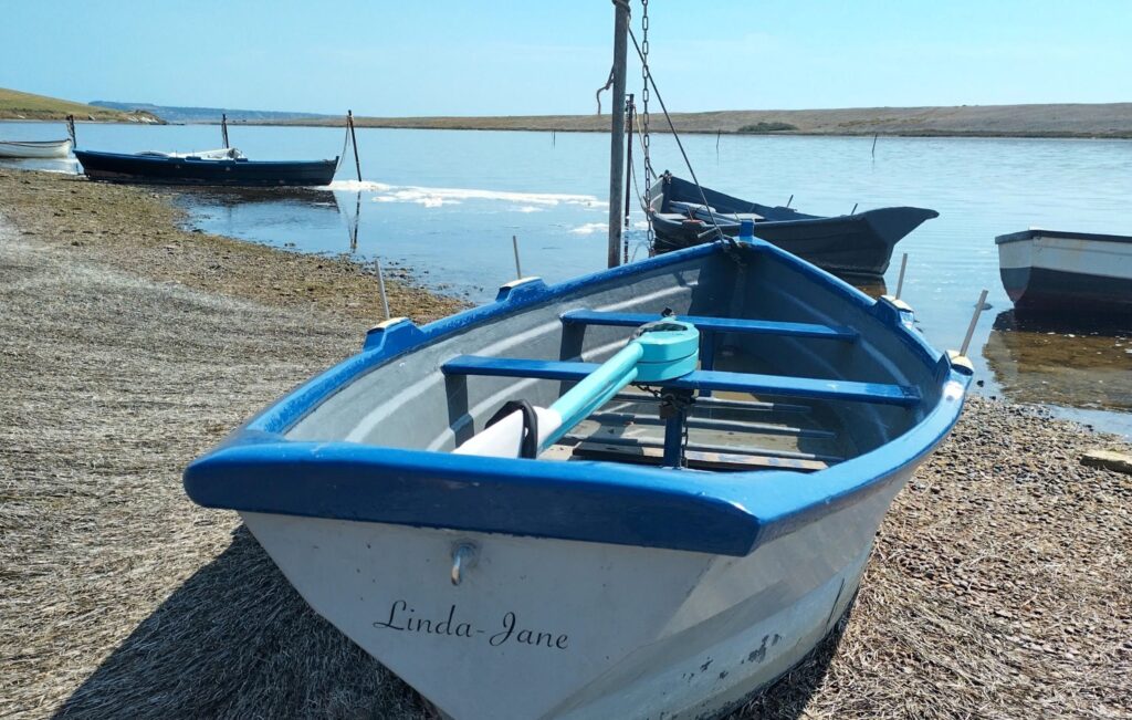 The blue and white Fleet trow Linda-Jane on the shoreline, with more Fleet trows moored behind.